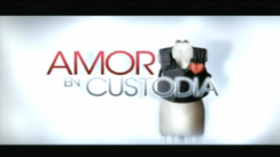 Avance de Amor en Custodia