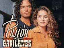 Pasión de gavilanes