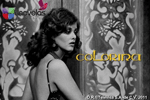 Colorina – Televisa (1980)